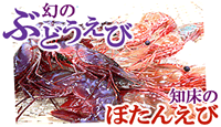 �u�h�E�G�r