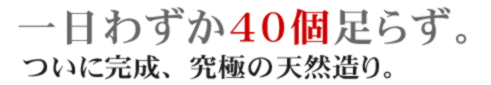 ������̐��Y�킸��40��