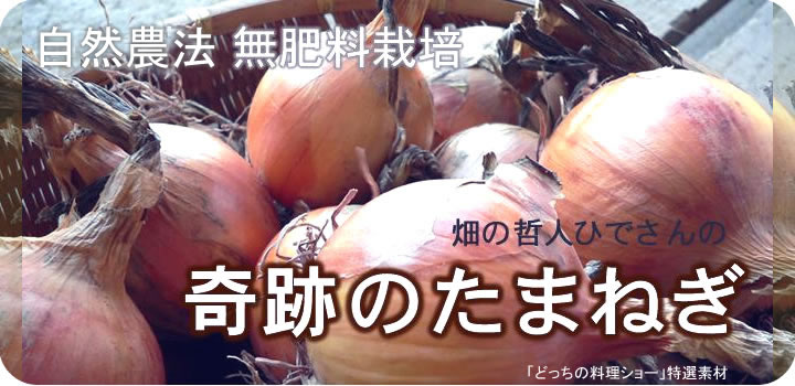 ���_�򖳔엿���܂˂�