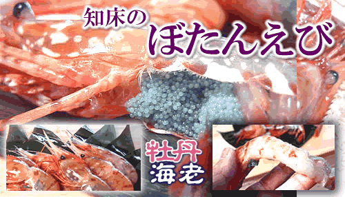 �{�^���G�r