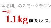 �I�X1.1kg�O��