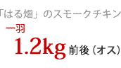 �I�X1.2kg�O��