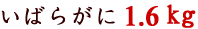 �C�o���K�j1.6kg
