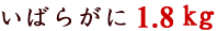 �C�o���K�j1.8kg