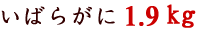 �C�o���K�j1.9kg