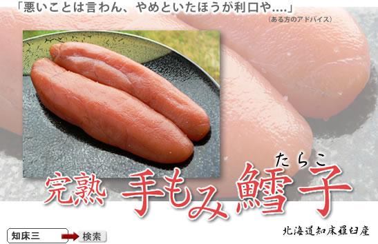 ���炱�u���Y���v����ݒL�q�^���R