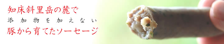 ���Y���ł̃\�[�Z�[�W