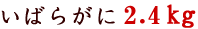 �C�o���K�j2.4kg
