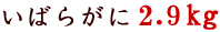 �C�o���K�j2.9kg