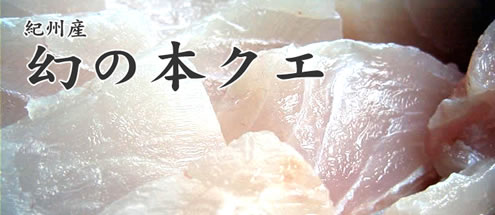 �I�B�Y�@���̖{�N�G