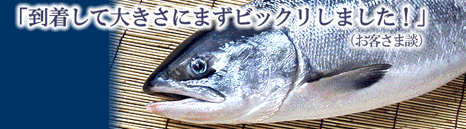 �ڋߍ��i�߂����j
