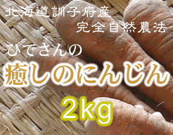 �ɂ񂶂񉿊i