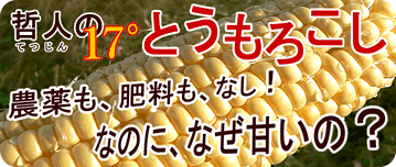 �Ƃ����낱��