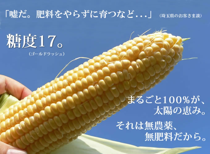 �Ƃ����낱�����R�_�@�Ȃ̂ɓ��x17