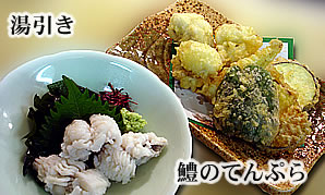鱧の天ぷらと湯引き