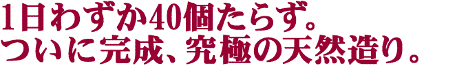 無添加イクラ亜硝酸も使わない