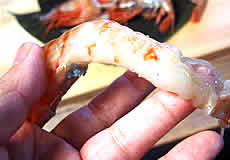 大きなぼたん海老ですよ
