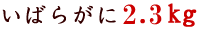 �C�o���K�j2.3kg
