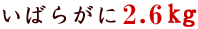 �C�o���K�j2.6kg
