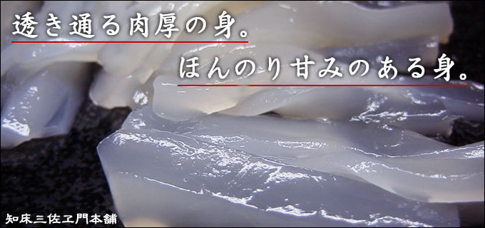 CJ̎hgi𓀌j