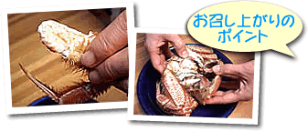 美味しい食べ方のポイント