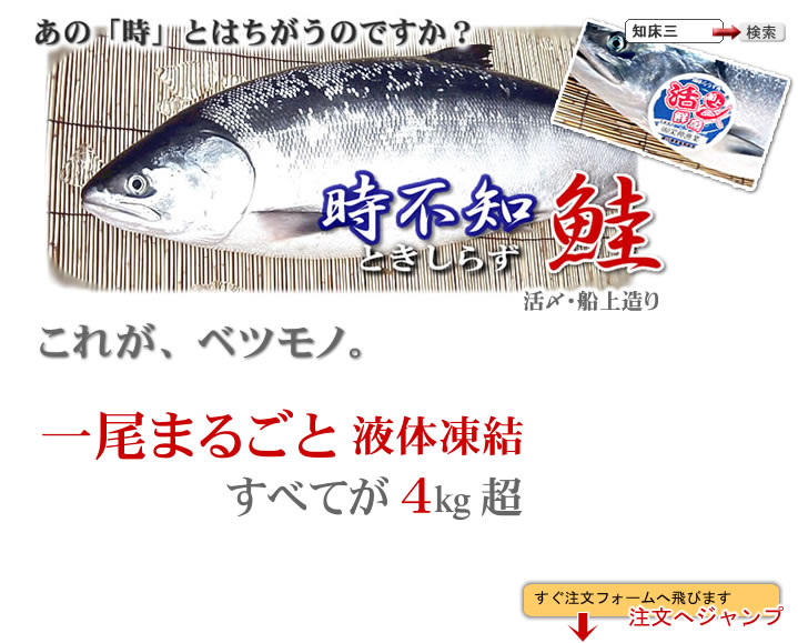 時鮭トキシラズ 別物 一尾 北海道産地直送贈答ギフト販売 三佐ヱ門本舗