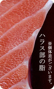トキシラズ鮭ハラスの脂