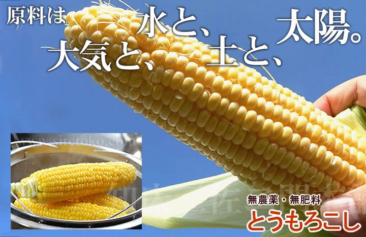 R_@Ƃ낱