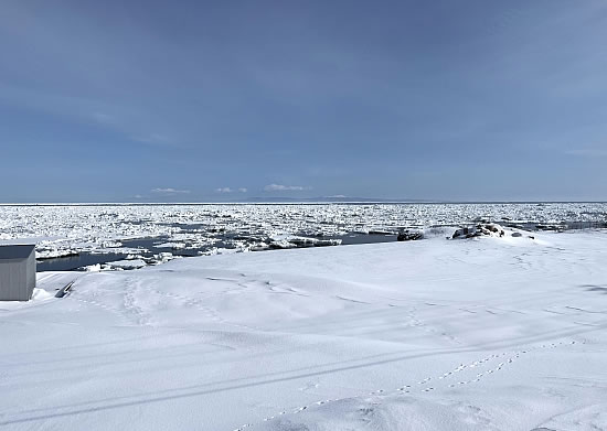 流氷の様子（国後島）